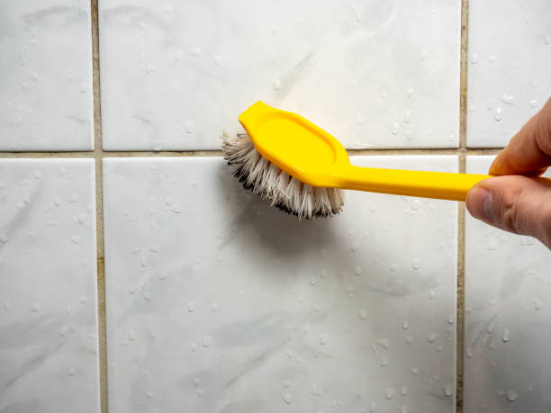 Best Fast Mold Removal  in Palisades Park, NJ
