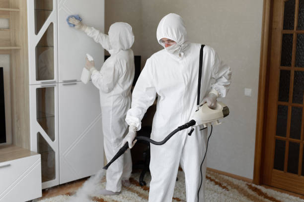 Best Mold Damage Repair  in Palisades Park, NJ